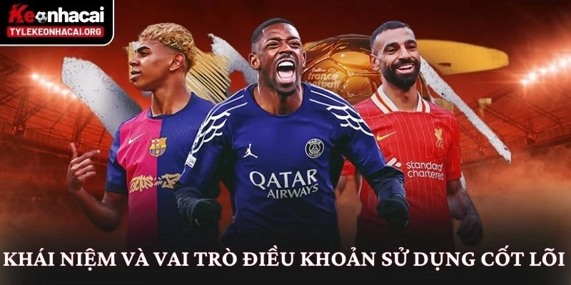 Điều khoản sử dụng 1 Khái niệm và vai trò điều khoản sử dụng cốt lõi