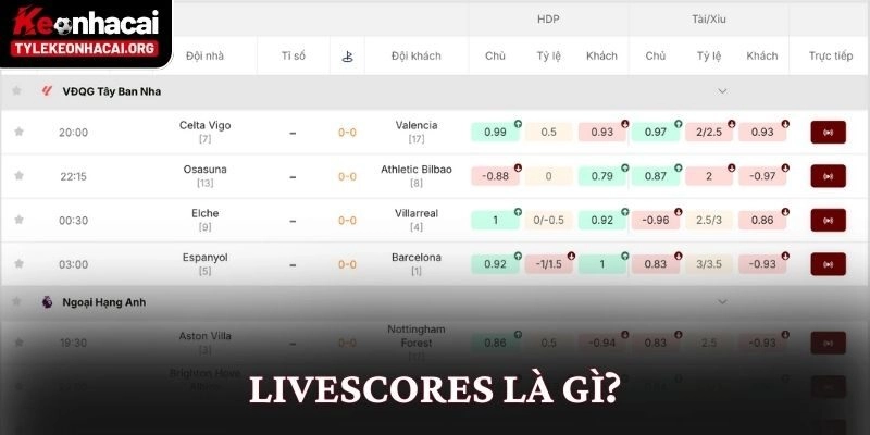 Livescore 9 Livescores là gì?