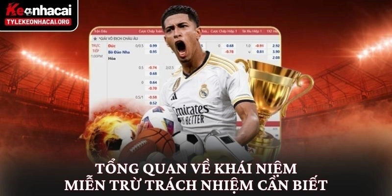 Tổng quan về khái niệm miễn trừ trách nhiệm cần biết